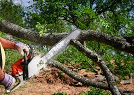 Lawn Pest Prevention in Superior, NE